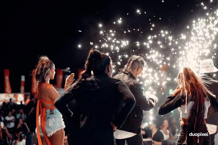 Festival Lights